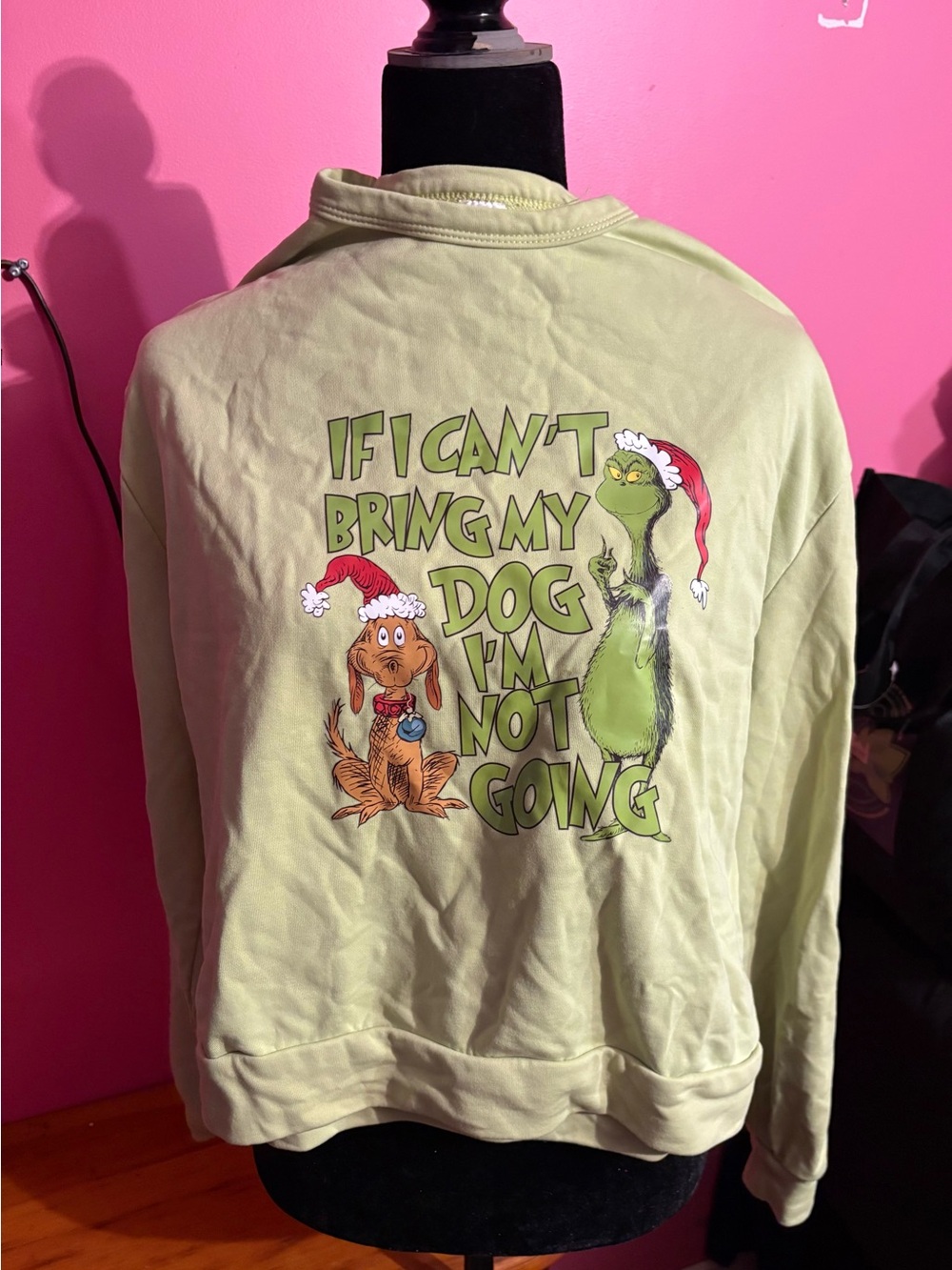 Dog Lover Graphic Sweatshirt - Light Green